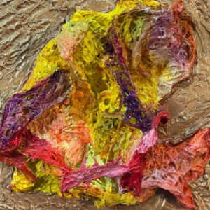 crann piorr art - artist inventozen catalogue raisonne online